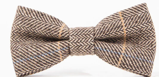 Marc Darcy Ted Bow Tie